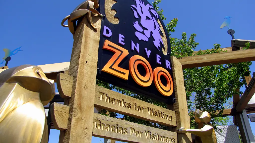 denver zoo tour