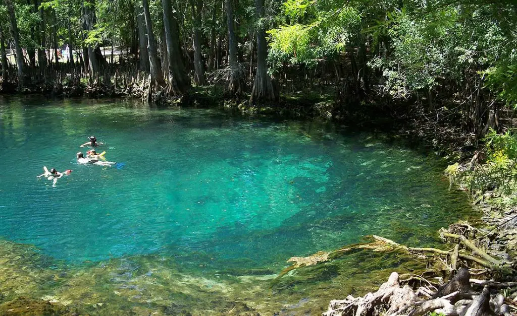 Things to do in Orlando- Natural Springs