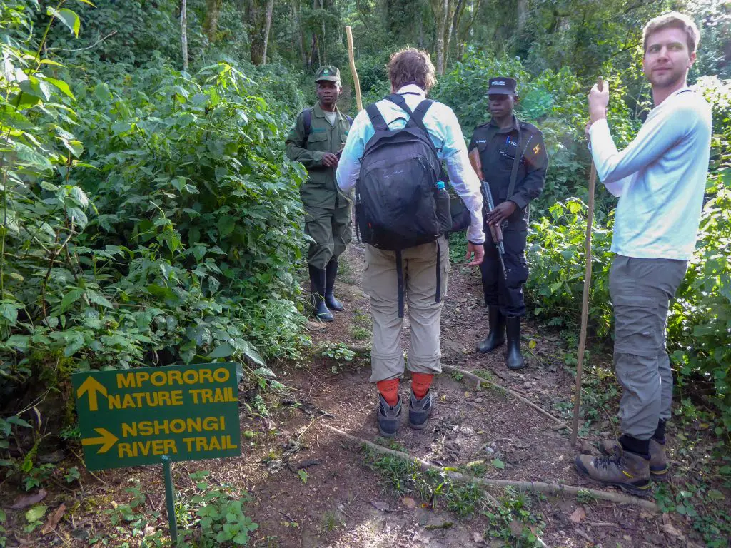 Gorilla trek in Uganda
